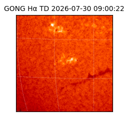 gong - 2026-07-30T09:00:22