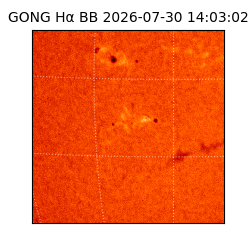 gong - 2026-07-30T14:03:02