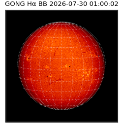 gong - 2026-07-30T01:00:02