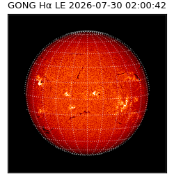 gong - 2026-07-30T02:00:42