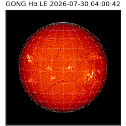 gong - 2026-07-30T04:00:42