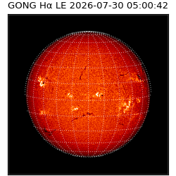 gong - 2026-07-30T05:00:42