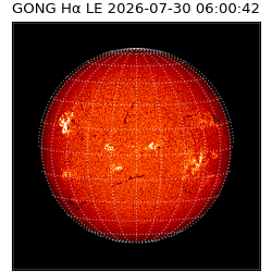 gong - 2026-07-30T06:00:42