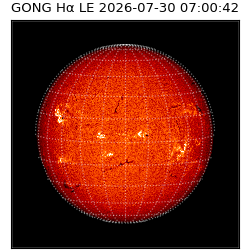 gong - 2026-07-30T07:00:42