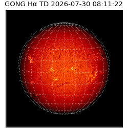 gong - 2026-07-30T08:11:22