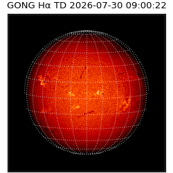 gong - 2026-07-30T09:00:22