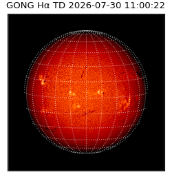 gong - 2026-07-30T11:00:22