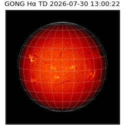 gong - 2026-07-30T13:00:22