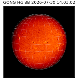 gong - 2026-07-30T14:03:02