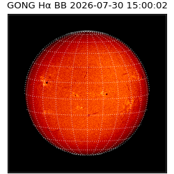 gong - 2026-07-30T15:00:02