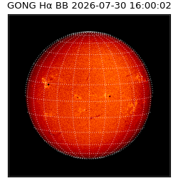 gong - 2026-07-30T16:00:02