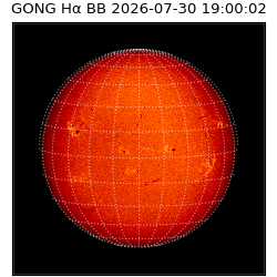 gong - 2026-07-30T19:00:02