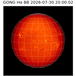 gong - 2026-07-30T20:00:02
