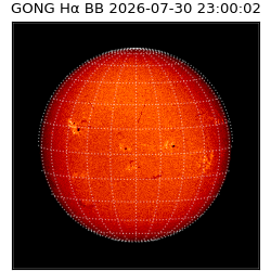 gong - 2026-07-30T23:00:02