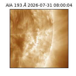saia - 2026-07-31T08:00:04.843000