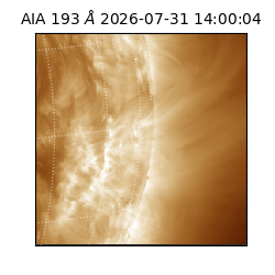 saia - 2026-07-31T14:00:04.842000