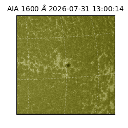 saia - 2026-07-31T13:00:14.123000