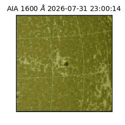 saia - 2026-07-31T23:00:14.124000