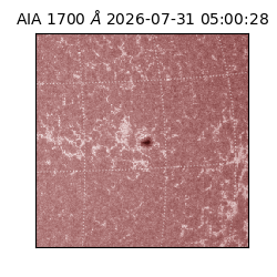 saia - 2026-07-31T05:00:28.719000
