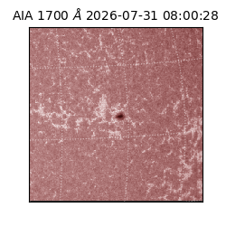 saia - 2026-07-31T08:00:28.717000
