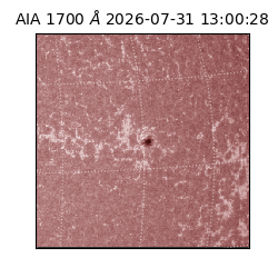 saia - 2026-07-31T13:00:28.716000