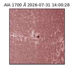 saia - 2026-07-31T14:00:28.716000