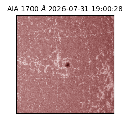 saia - 2026-07-31T19:00:28.718000