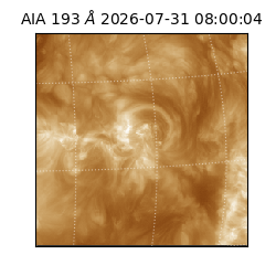 saia - 2026-07-31T08:00:04.843000