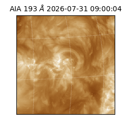 saia - 2026-07-31T09:00:04.842000