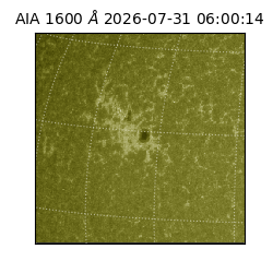 saia - 2026-07-31T06:00:14.123000