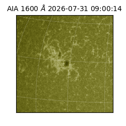 saia - 2026-07-31T09:00:14.124000