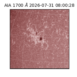 saia - 2026-07-31T08:00:28.717000