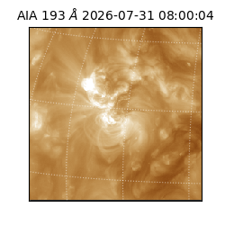 saia - 2026-07-31T08:00:04.843000