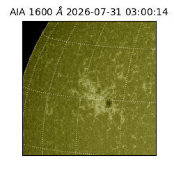 saia - 2026-07-31T03:00:14.123000