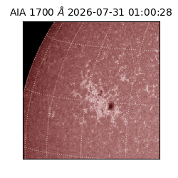 saia - 2026-07-31T01:00:28.716000