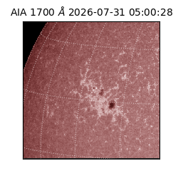 saia - 2026-07-31T05:00:28.719000