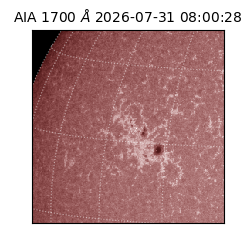 saia - 2026-07-31T08:00:28.717000