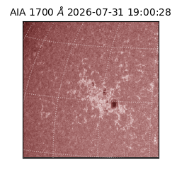 saia - 2026-07-31T19:00:28.718000
