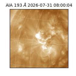 saia - 2026-07-31T08:00:04.843000