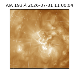 saia - 2026-07-31T11:00:04.842000