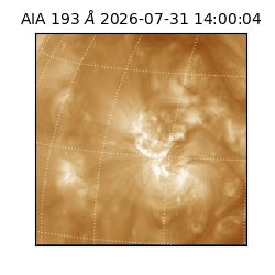 saia - 2026-07-31T14:00:04.842000