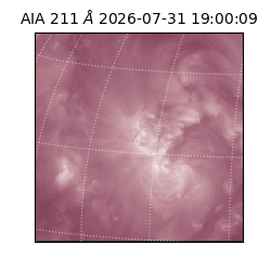 saia - 2026-07-31T19:00:09.621000