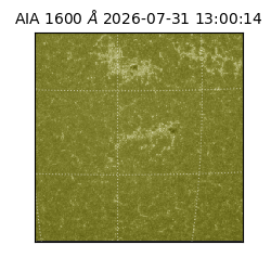saia - 2026-07-31T13:00:14.123000