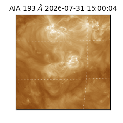 saia - 2026-07-31T16:00:04.842000