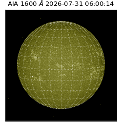 saia - 2026-07-31T06:00:14.123000