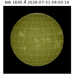 saia - 2026-07-31T08:00:14.123000
