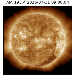 saia - 2026-07-31T09:00:04.842000
