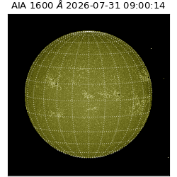 saia - 2026-07-31T09:00:14.124000