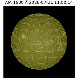 saia - 2026-07-31T11:00:14.124000