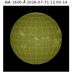 saia - 2026-07-31T12:00:14.124000